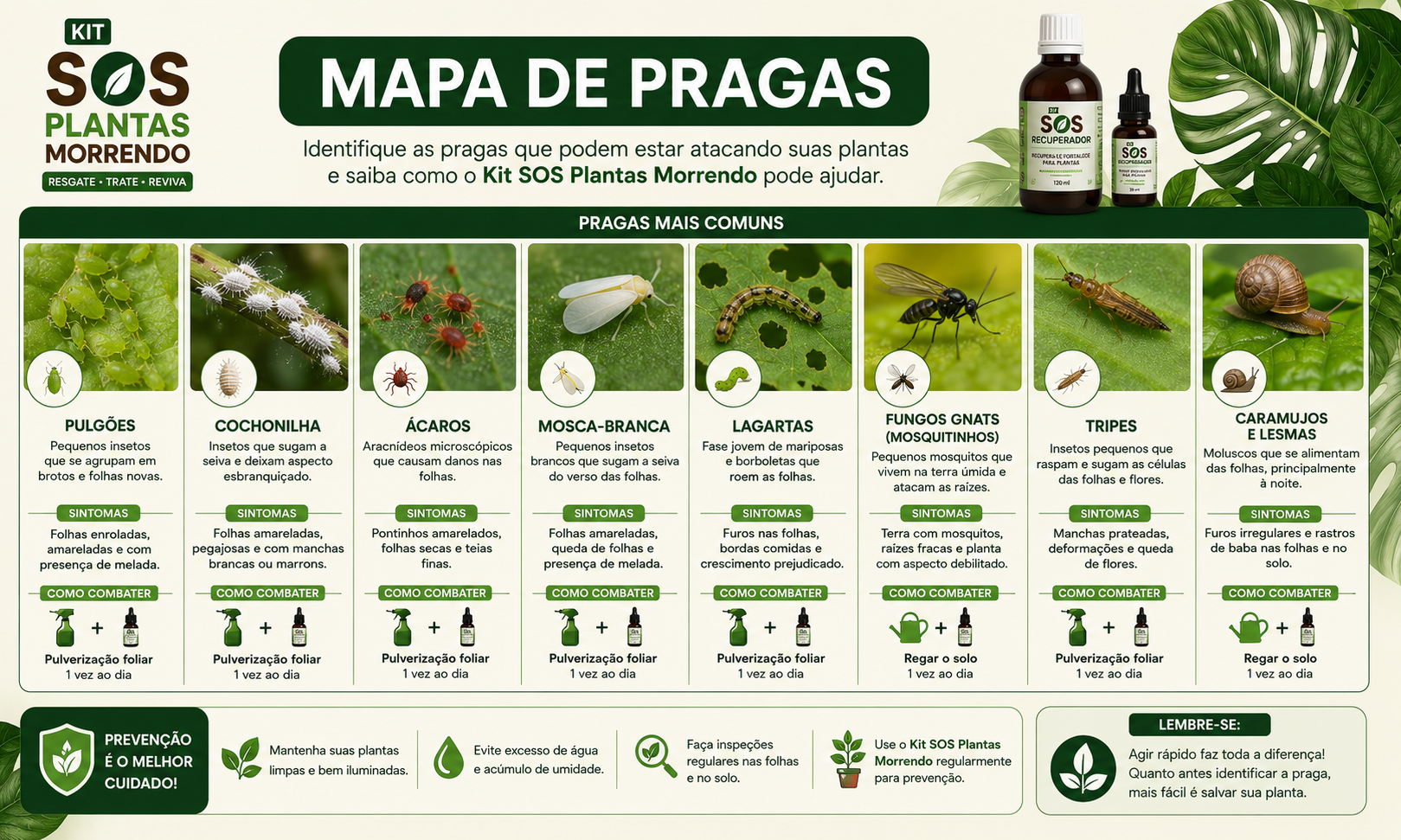Mini mapa de pragas do Kit SOS