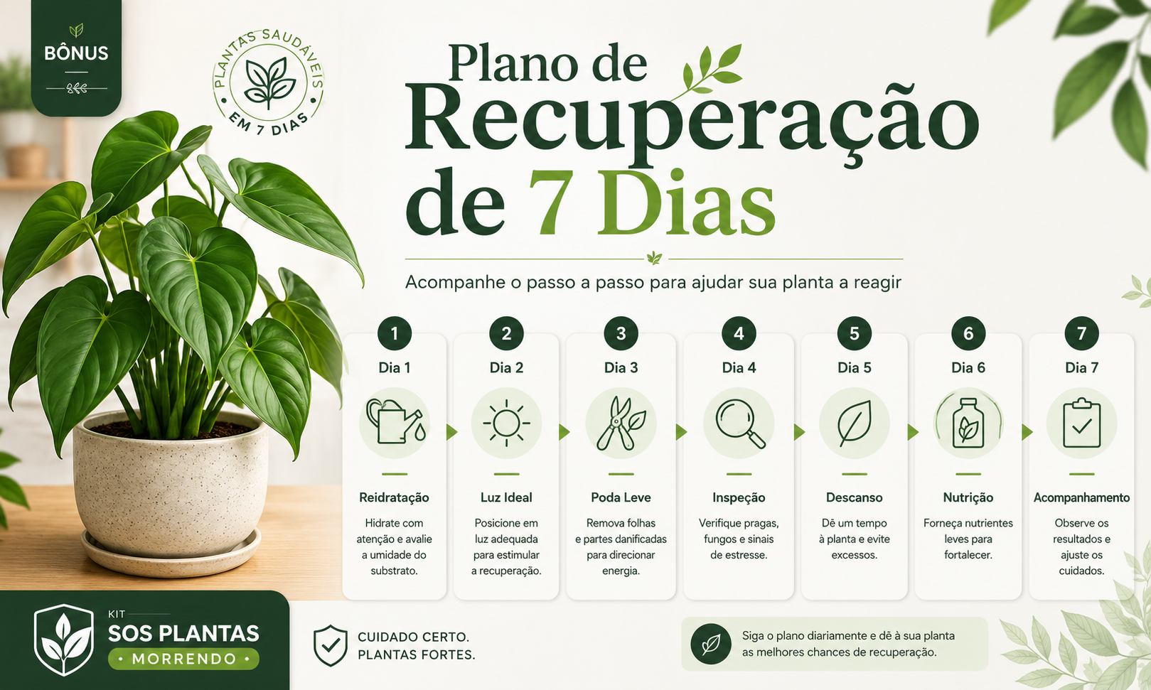 Plano de recuperação de 7 dias do Kit SOS